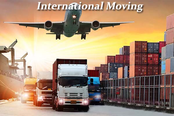Speed Cargo Packers & Movers